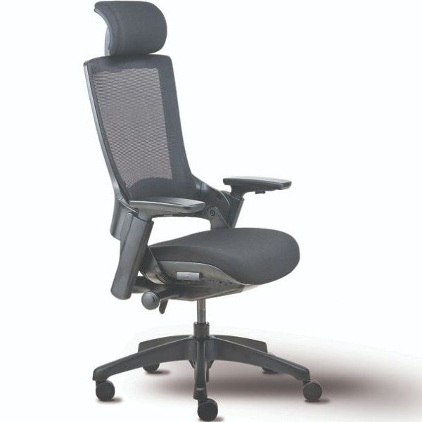 Yunico High Back Mesh Ergonomic Chair with adjustable Arms