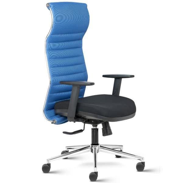 Black Neo High Back Mesh Ergonomic Chair with adjustable arms