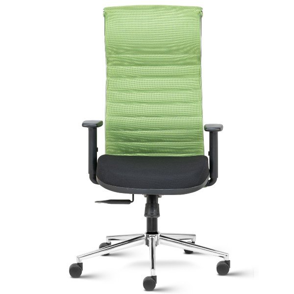 Black Neo High Back Mesh Ergonomic Chair with adjustable arms - Green