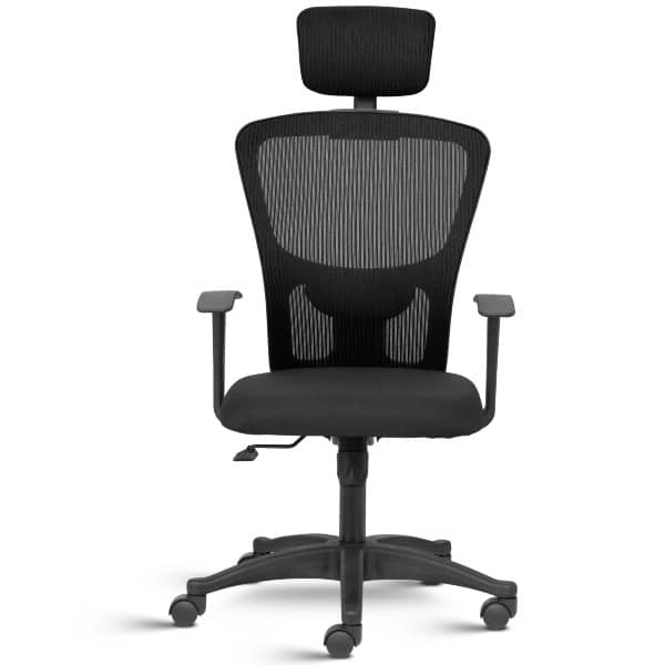 Fluid Lite : High Back Ergonomic Mesh Chair with Fixed arms