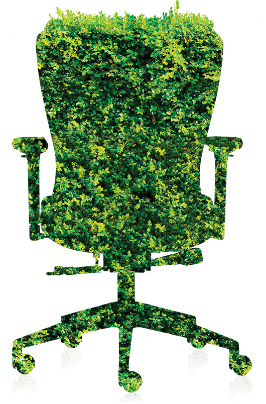 Bio Chairs
