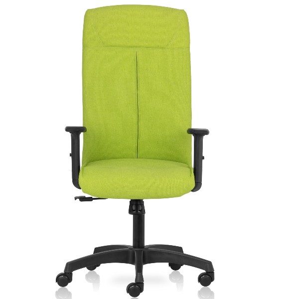 Ritz High Back chair upholstered with Fabour breathable , anti bacterial , Natural fabrics and with 1 way adjustable arms-green-TRANSTEEL