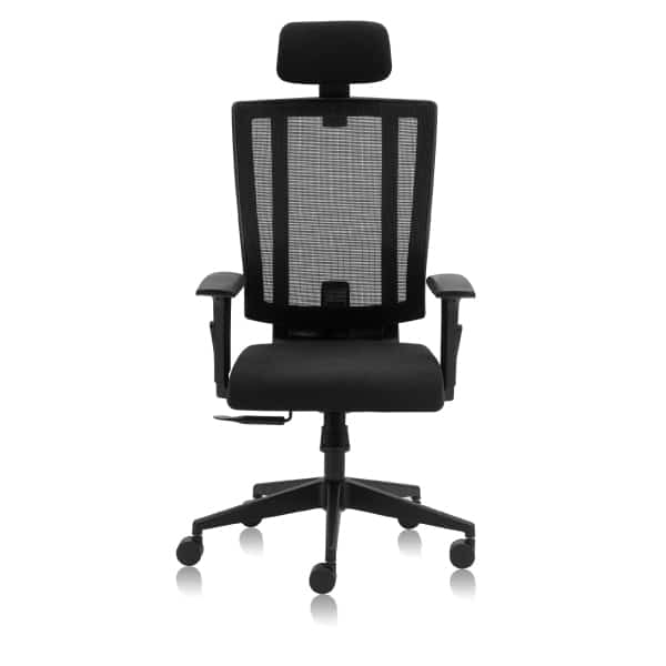 FREEDOM High Back Mesh Ergonomic Chair with 3D Arms and Multi Lock Tilt Mechanism - TRANSTEEL