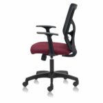 LEAP Medium Back Mesh Chair with Fixed Arms & Adaptable Lumbar Support - TRANSTEEL