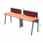 Alchemy Slant 2 seater straight workstation - TRANSTEEL