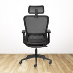 AXION Lite HB Ergonomic Office Chair With Mesh Back & 1D Arms