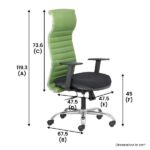 BLACK NEO – High Back Mesh Ergonomic Chair with Adjustable Arms – Green-Dimension, Transteel