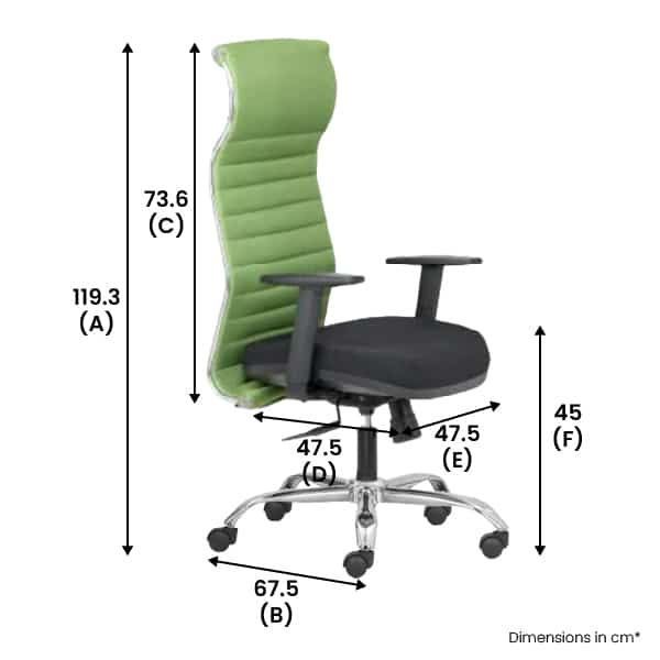 BLACK NEO – High Back Mesh Ergonomic Chair with Adjustable Arms – Green-Dimension, Transteel