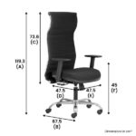 BLACK NEO – High Back Mesh Ergonomic Chair with Adjustable Arms – Black-Dimension, Transteel