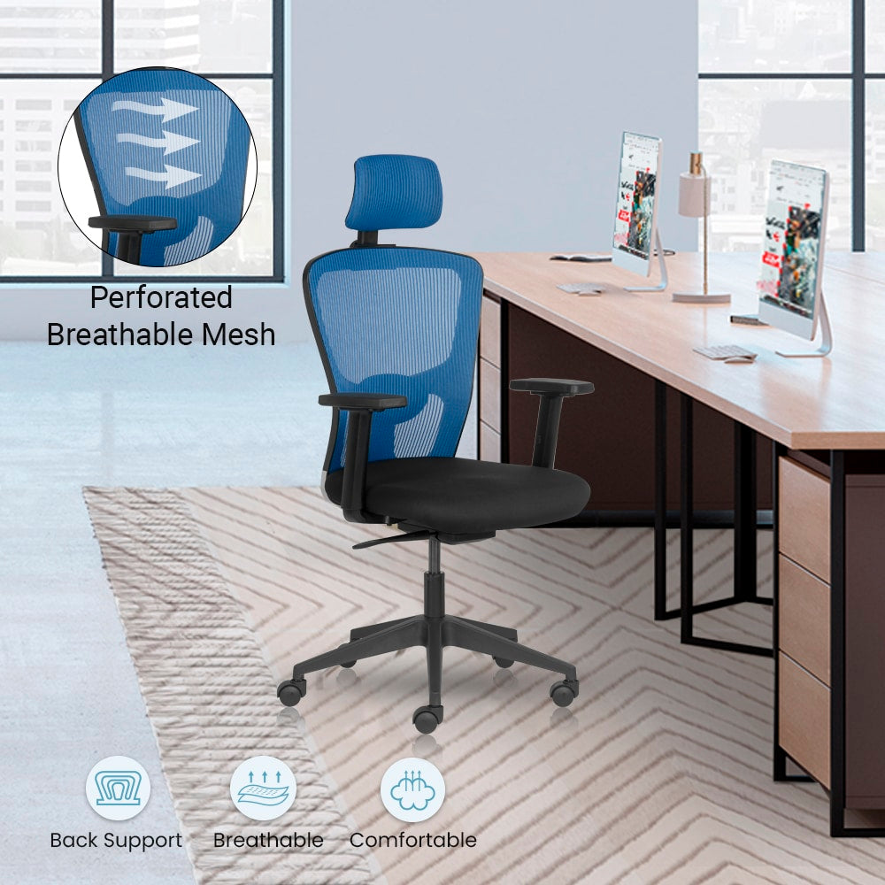 FLUID BASICS High Back Ergonomic Office Chair with Mesh Back & 1D Arms – Blue