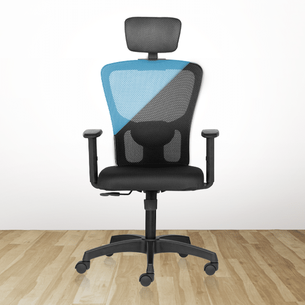 FLUID BASICS High Back Ergonomic Office Chair with Mesh Back & Adjustable Arms – Black