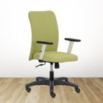 FOCUS Green Mid Back Ergonomic Office Chair With Adjustable Arm & Nylon Base