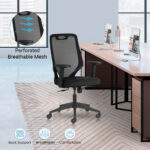 FLAIR MB Ergonomic Office Chair with Mesh Back & 1D Arms