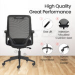 FLAIR MB Ergonomic Office Chair with Mesh Back & 1D Arms