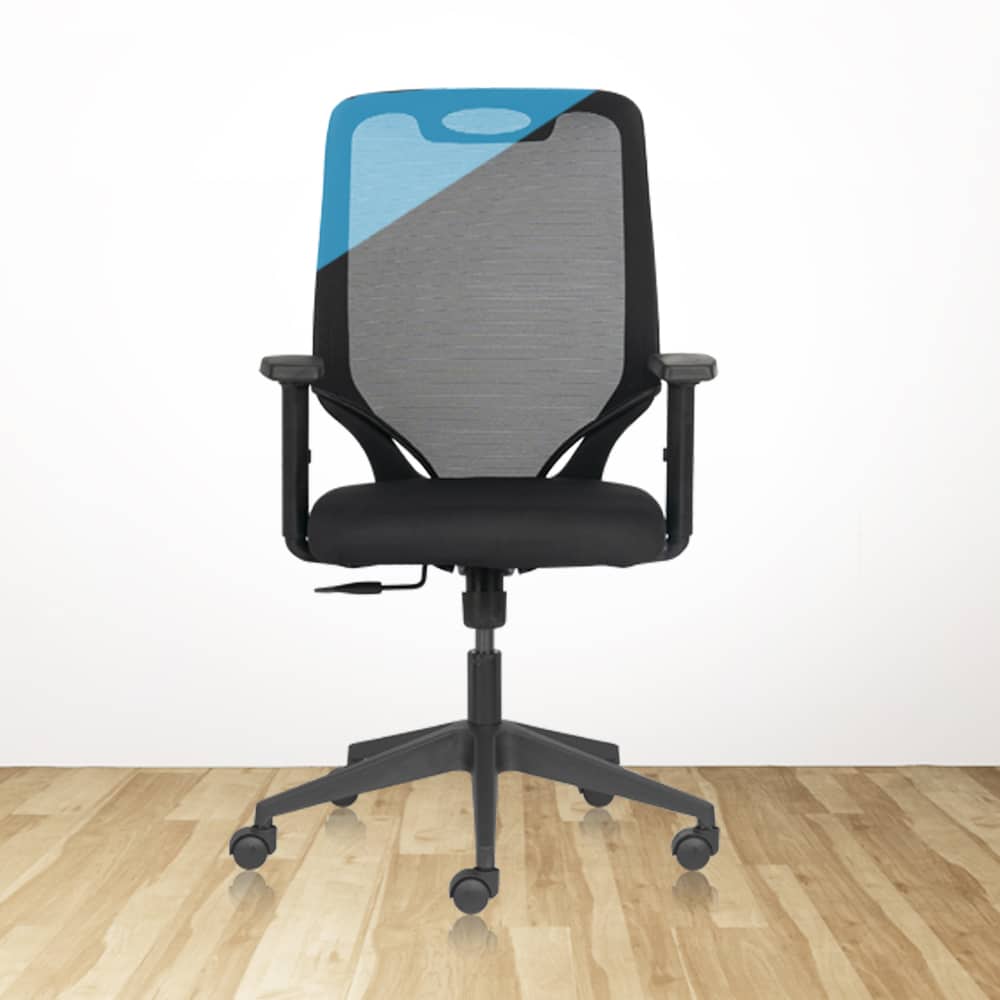 FLAIR MB Ergonomic Office Chair with Mesh Back & 1D Arms