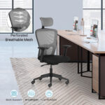 FLUID BASICS High Back Ergonomic Office Chair With Mesh Back