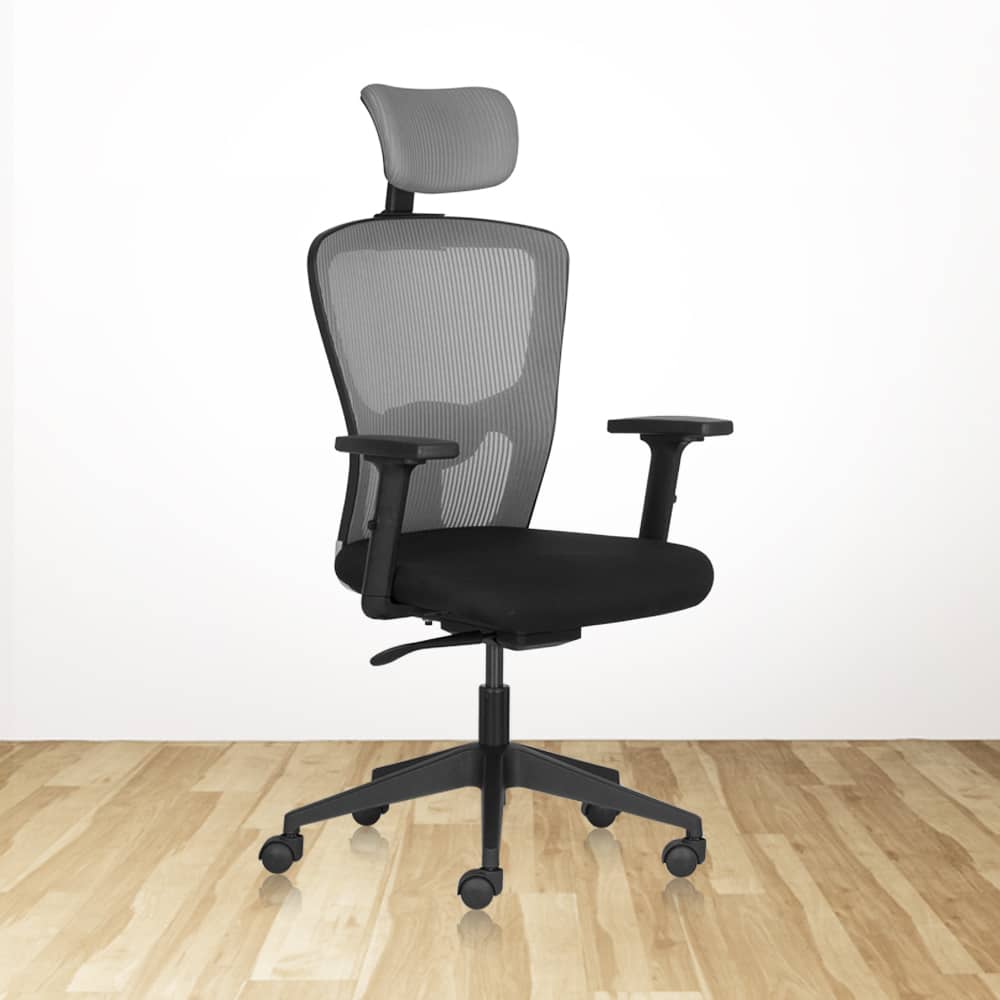 FLUID BASICS High Back Ergonomic Office Chair With Mesh Back