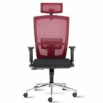 Matrix High Back Mesh Ergonomic Chair with 2D arms