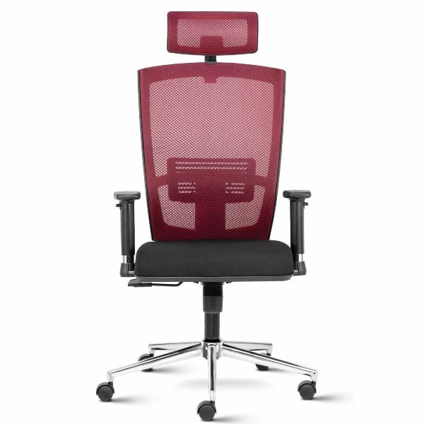 Matrix High Back Mesh Ergonomic Chair with 2D arms