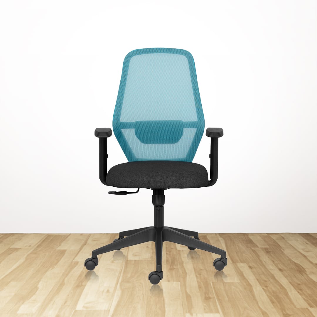 SONIC Basics MB Ergonomic Office Chair With Mesh Back and 1D Arms