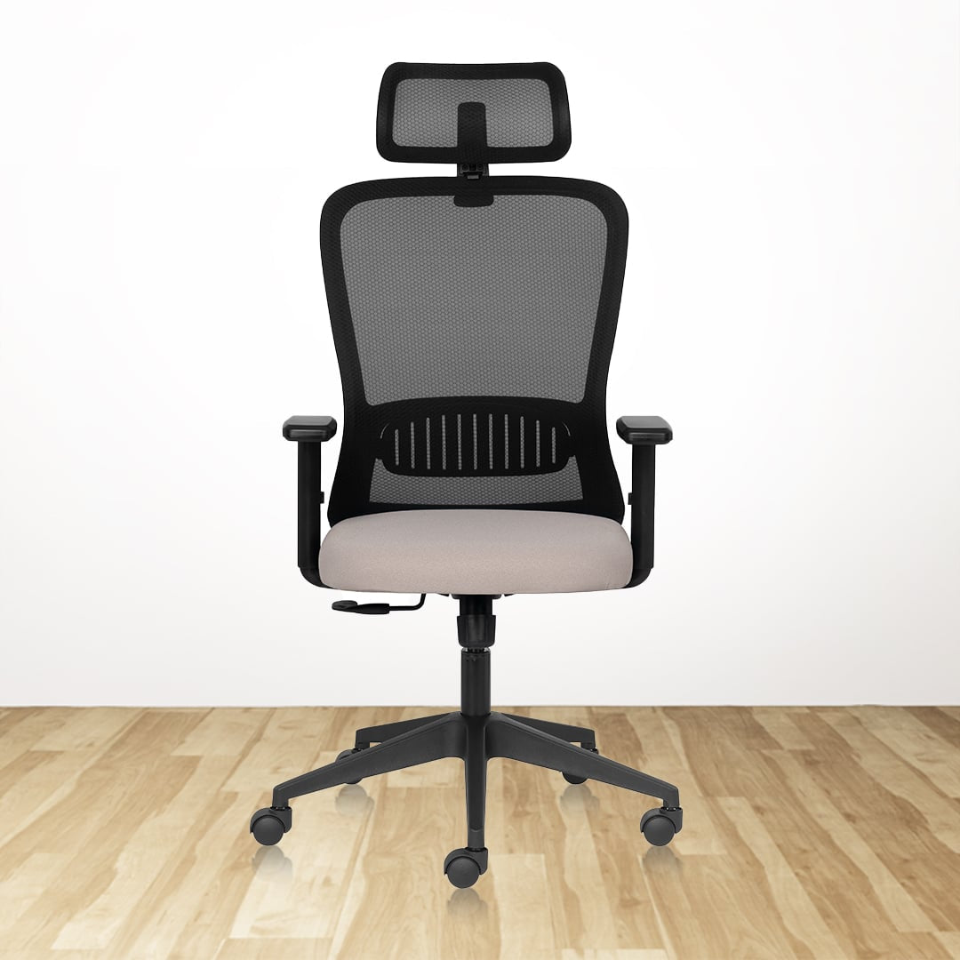 AXION Lite HB Ergonomic Office Chair With Mesh Back & 1D Arms