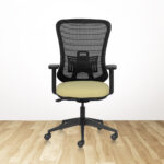 WING Pro MB Ergonomic Office Chair With Mesh Back & 1D Arms