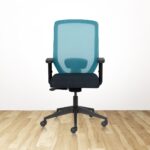 EURO Basics MB Ergonomic Office Chair With Mesh Back and 1D Arms