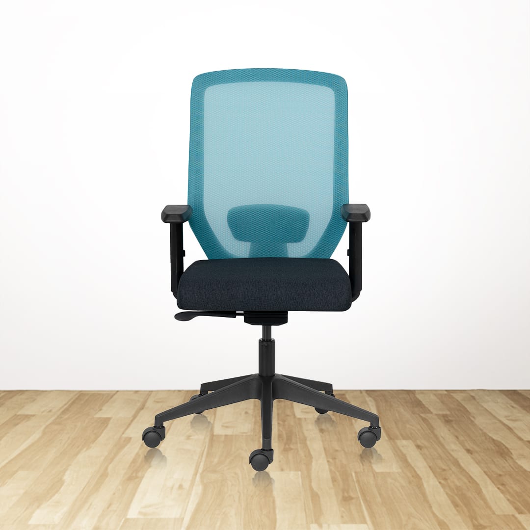 EURO Basics MB Ergonomic Office Chair With Mesh Back and 1D Arms