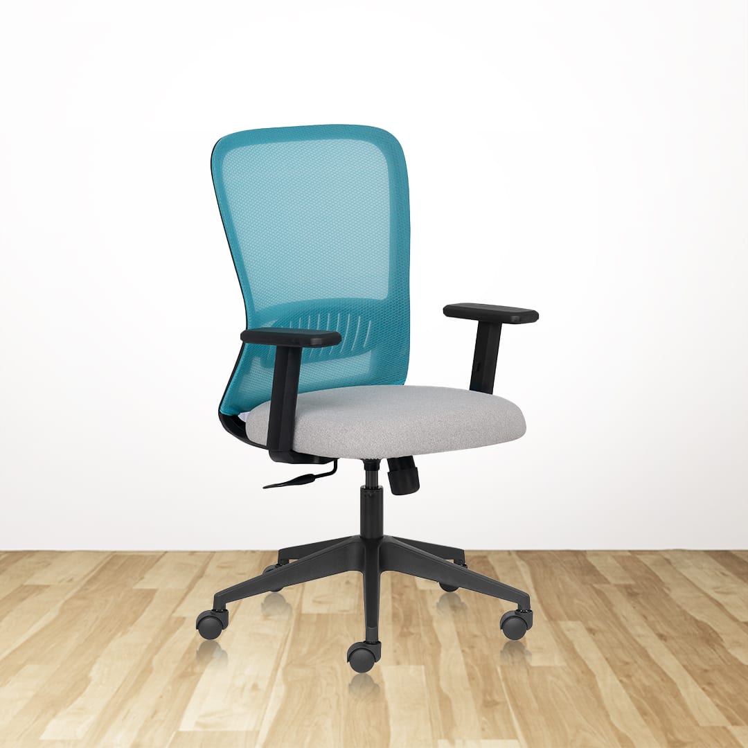 AXION Lite MB Ergonomic Office Chair With Mesh Back and 1D Arms