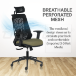 PHOENIX High Back Ergonomic Office Chair With 3D Arms - Black