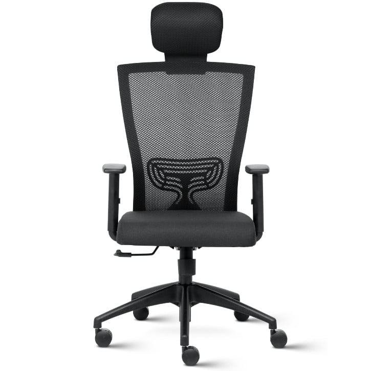 Reflex High Back Mesh Ergonomic Chair with Adjustable Arms