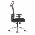 Matrix High Back Mesh Ergonomic Chair with 2D arms