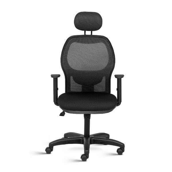 Web High Back Mesh Ergonomic Chair with adjustable Arms