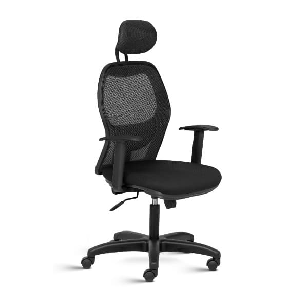 Web High Back Mesh Ergonomic Chair with adjustable Arms