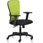 Fluid Basics Mid Back chair with adjustable lumbar and high tensile breathable natural fabrics - Green