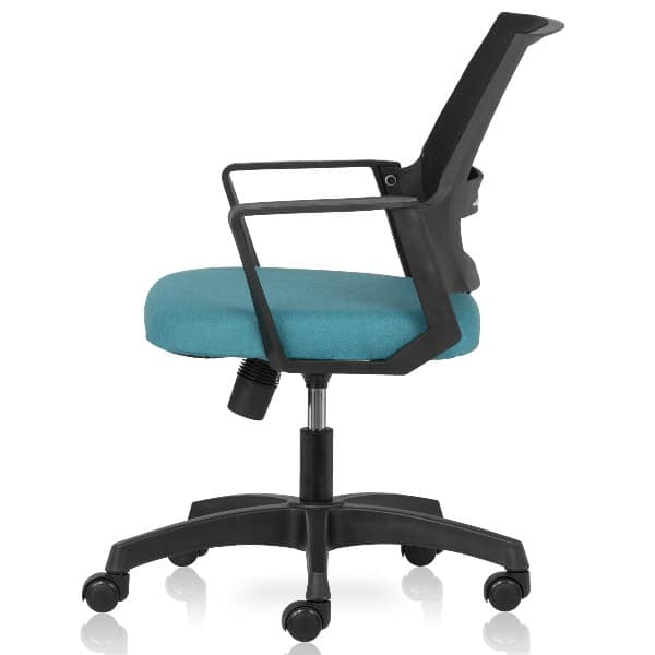 Iexpress Low Back Chair with Mesh back and fixed arms