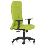 Ritz High Back chair upholstered with Fabour breathable , anti bacterial , Natural fabrics and with 1 way adjustable arms-green-TRANSTEEL