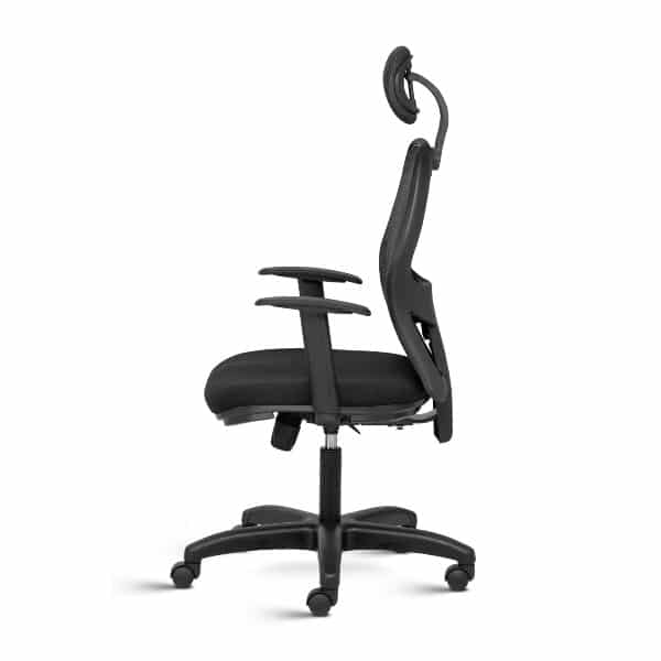 Web High Back Mesh Ergonomic Chair with adjustable Arms
