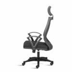 Reflex High Back Ergonomic Chair with Fixed Arms