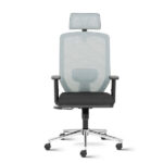 Euro High Back Mesh Ergonomic Task Chair with Adjustable Arms