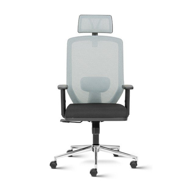 Euro High Back Mesh Ergonomic Task Chair with Adjustable Arms