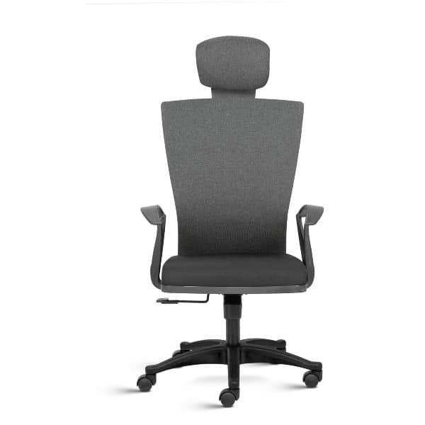 Reflex High Back Ergonomic Chair with Fixed Arms