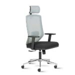 Euro High Back Mesh Ergonomic Task Chair with Adjustable Arms