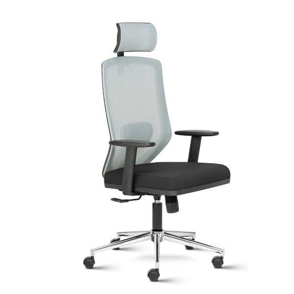 Euro High Back Mesh Ergonomic Task Chair with Adjustable Arms