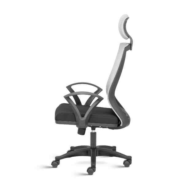 Reflex High Back Ergonomic Chair with Fixed Arms