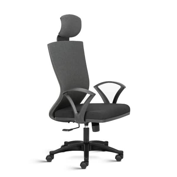 Reflex High Back Ergonomic Chair with Fixed Arms