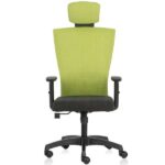 Reflex High Back Ergonomic Bio Chair with Adjustable arms and with Anti Stain , Anti Microbial Natural Fabrics
