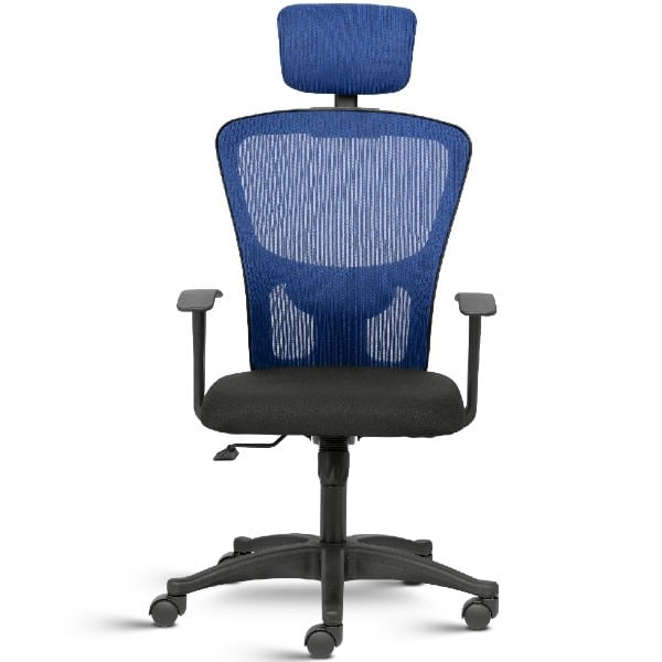 Fluid Lite : High Back Ergonomic Mesh Chair with Fixed arms