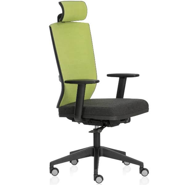 Matrix High Back Ergonomic Bio Chair with Adjustable arms & Lumbar support , Upholstered with Anti Stain & Anti Microbial Natural Fabrics