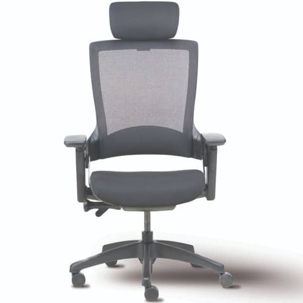 Yunico High Back Mesh Ergonomic Chair with adjustable Arms